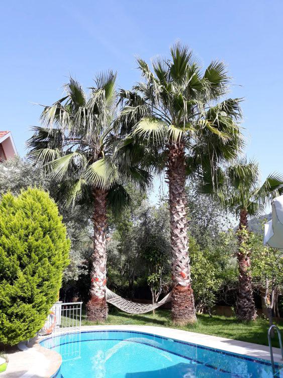 Jasmin Apart Hotel