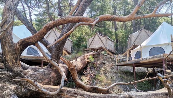Yalın Ayak Olimpos