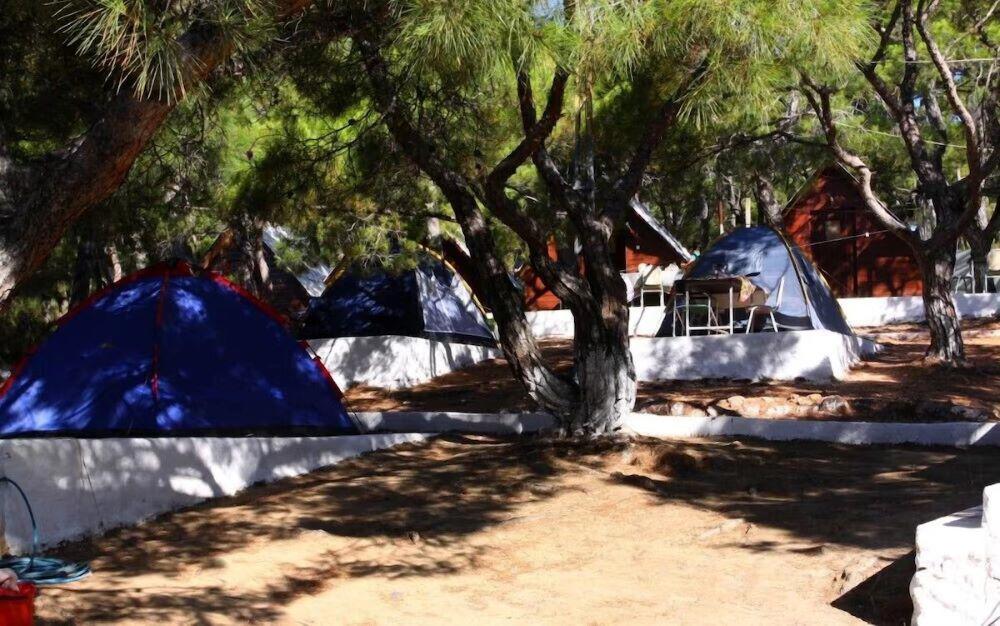 Çamlik Kamping