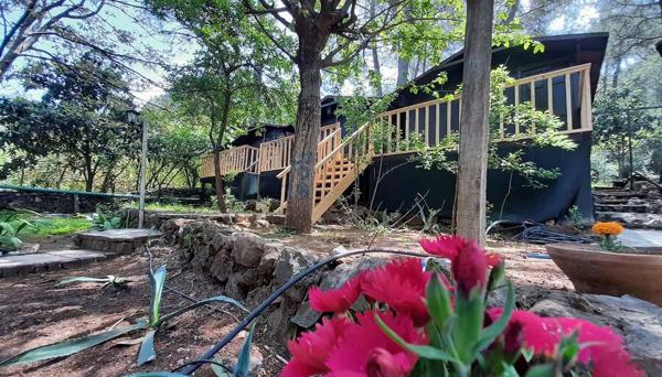 Altaris Bungalows Olympos