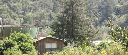 Olympos Orange Bungalows