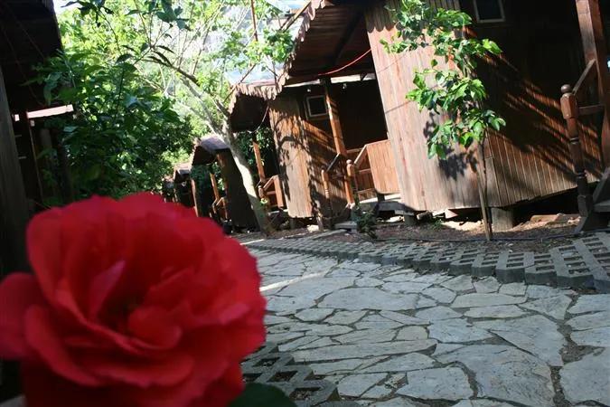 Olympos Moonlight Pansiyon