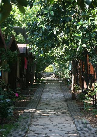 Olympos Moonlight Pansiyon