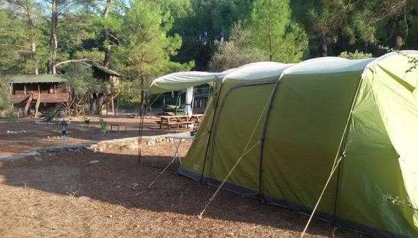 Olympos Woods