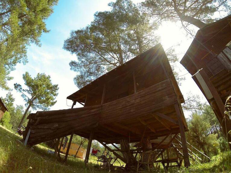 Olympos Woods