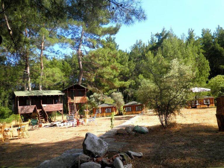 Olympos Woods