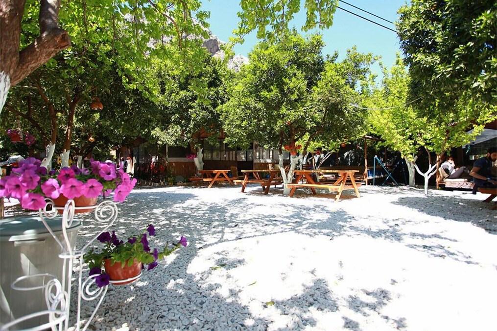 Olympos Ruya Pansiyon