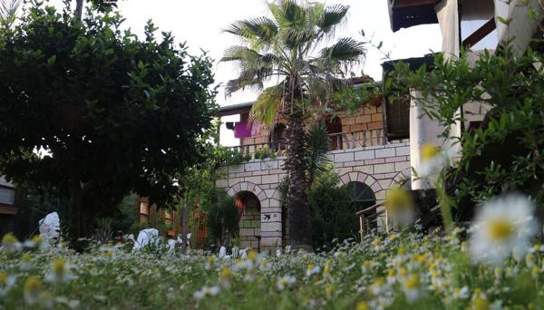Captain Eudemos House Olympos
