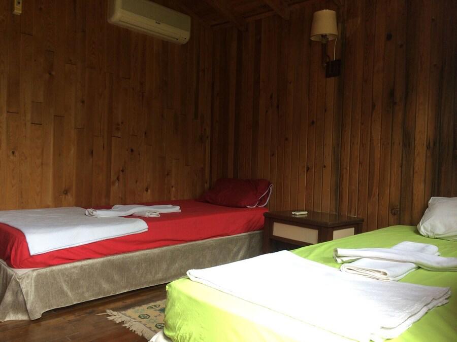 Captain Eudemos House Olympos