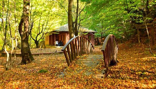 Kırkahvesi Garden - Campsite