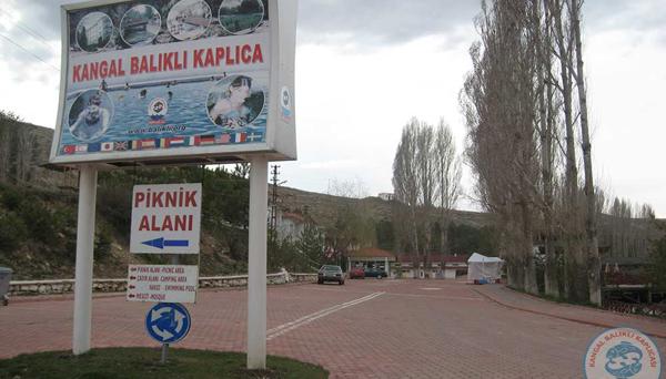 Kangal Balikli Kaplicasi