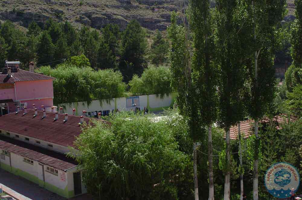 Kangal Balikli Kaplicasi