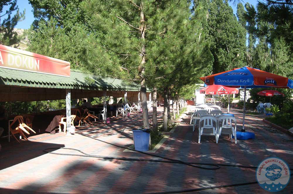 Kangal Balikli Kaplicasi