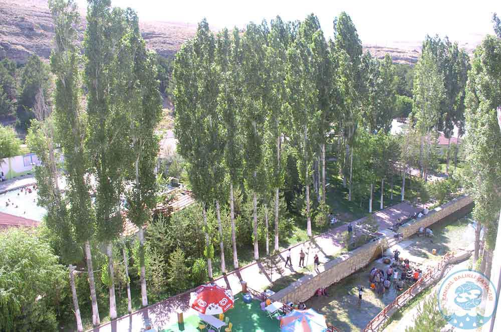 Kangal Balikli Kaplicasi