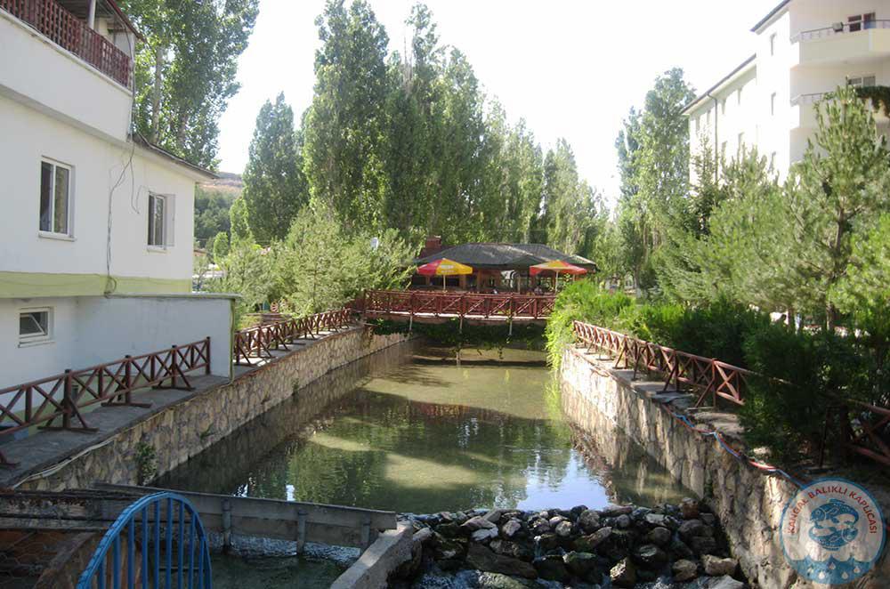 Kangal Balikli Kaplicasi