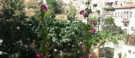 Dede Hostel & Pansiyon