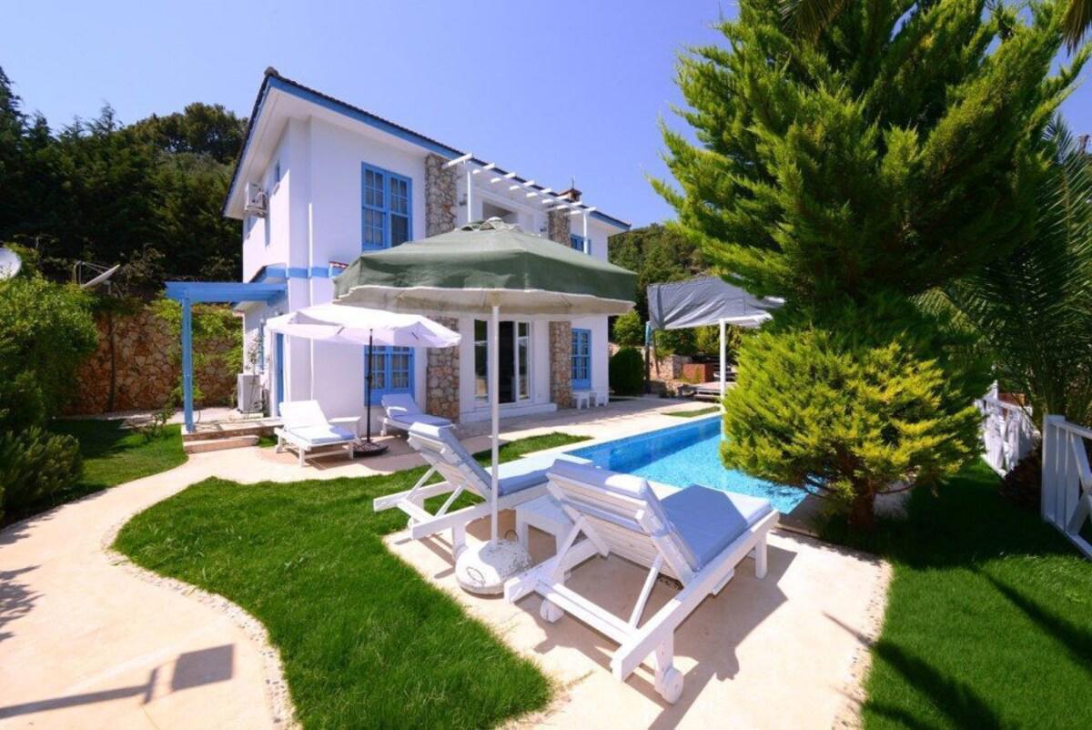 Villa Koknar