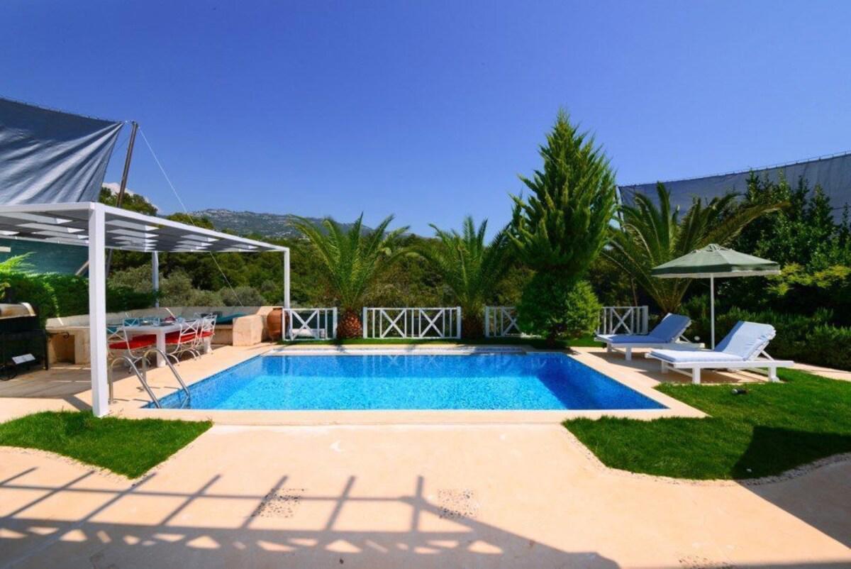 Villa Koknar