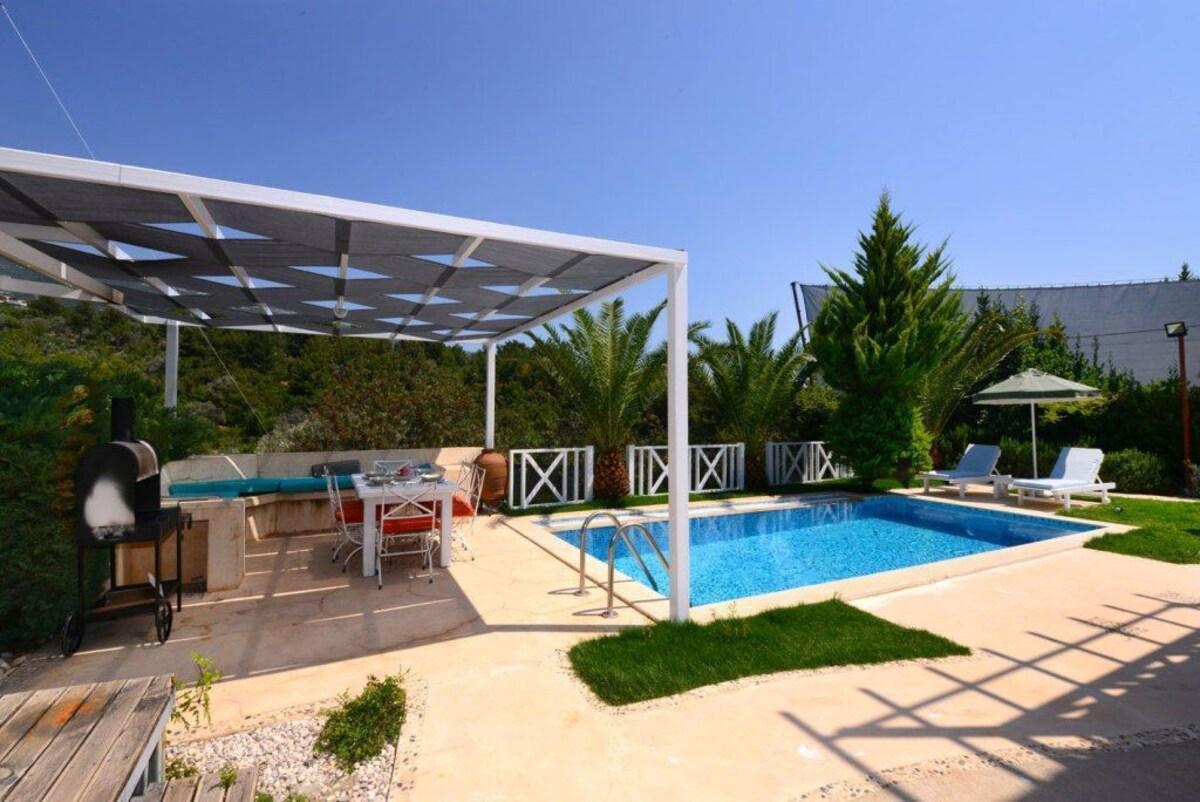 Villa Koknar