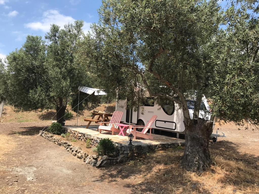 Mola Glamping