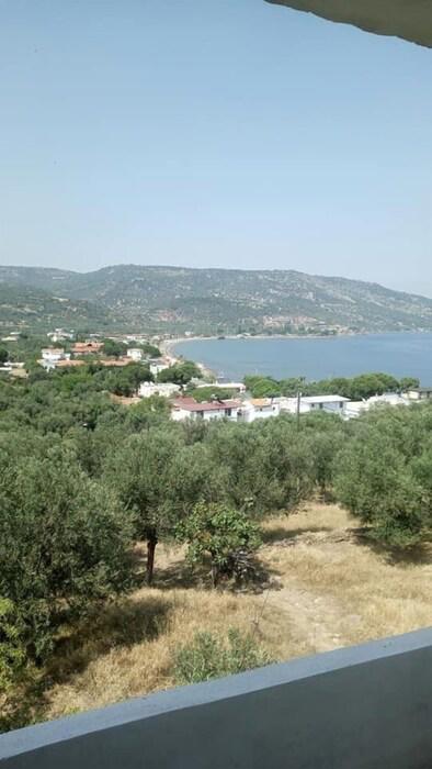 Kartalkaya