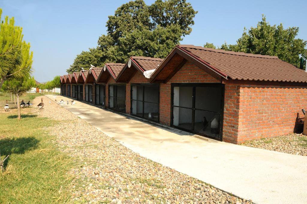 Akkiz Han Otel