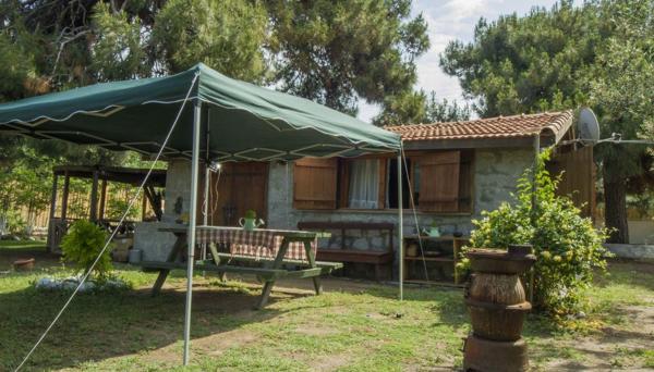 Agora Tatil Durağı
