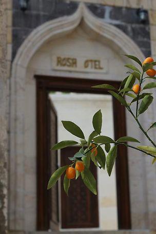 Rosa Hotel