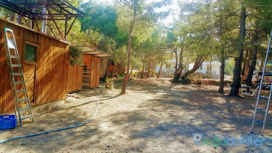 Kara Dere Park Orman