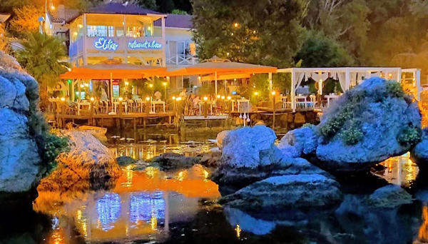 Lotus Restaurant & Home