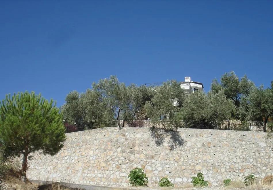 Olivera Villa