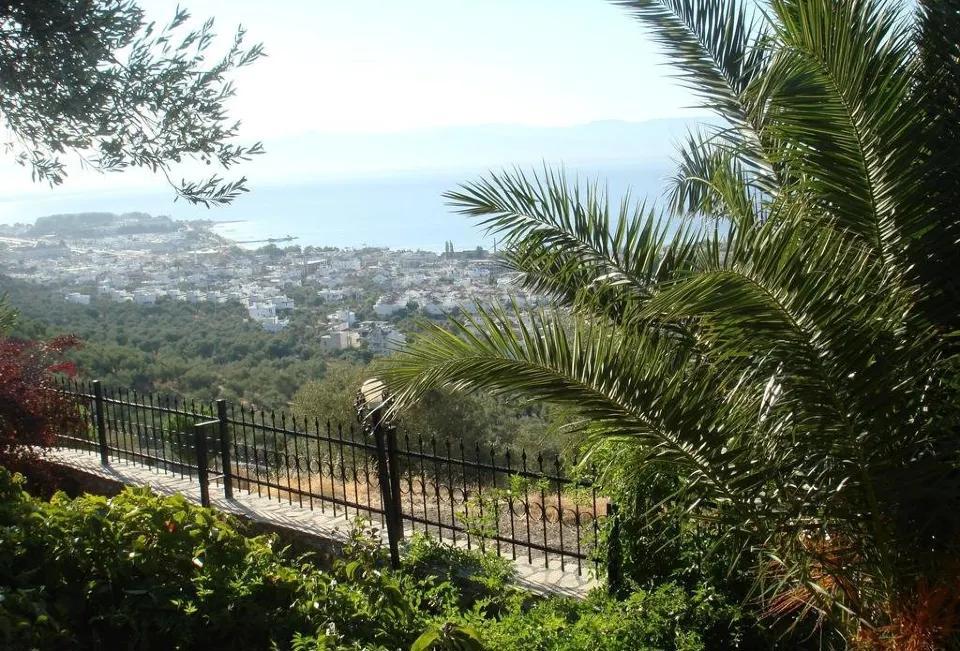 Olivera Villa