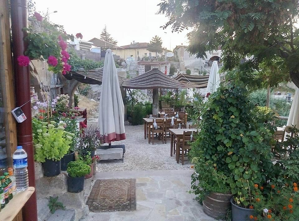 Oasis Hostel