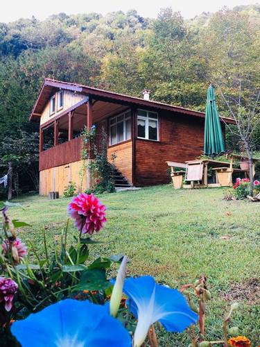 Kartal Vadisi Dağ Evleri