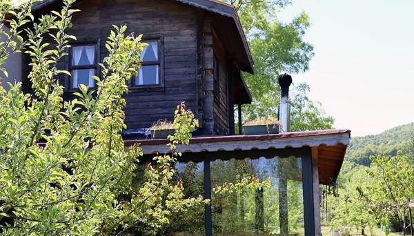 Vira Creek House