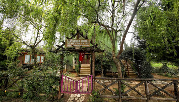 Tartaruga Motel Agva