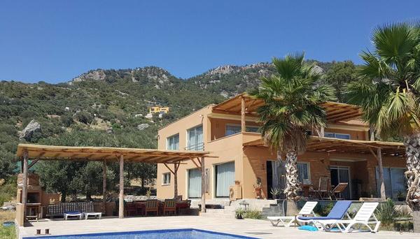 Camelion Guesthouse