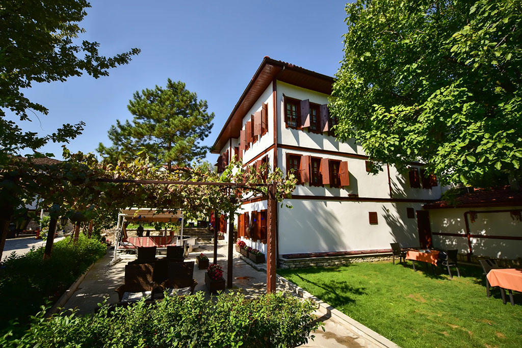Arpacioglu