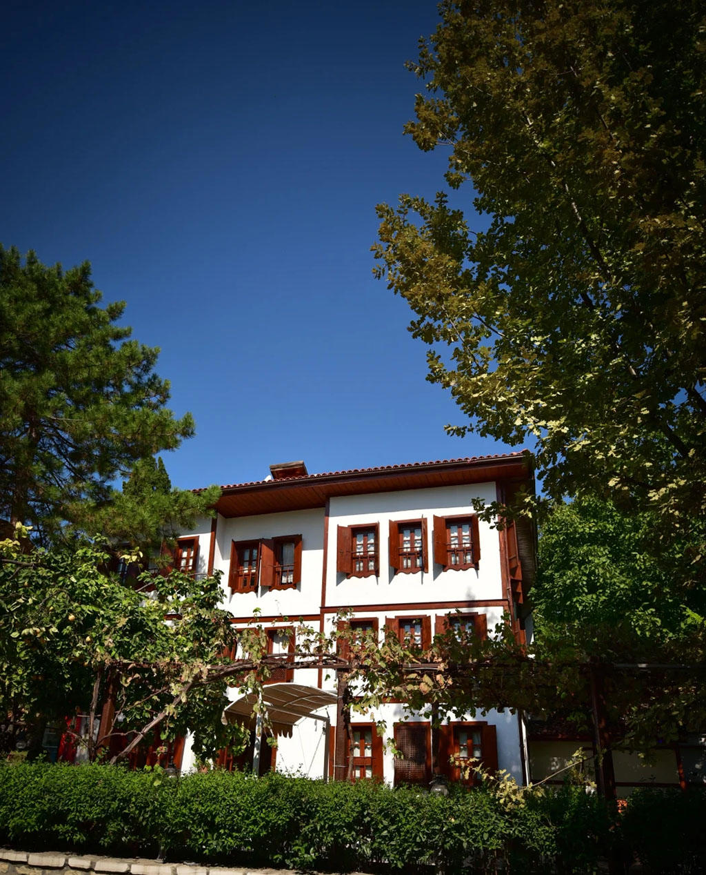 Arpacioglu