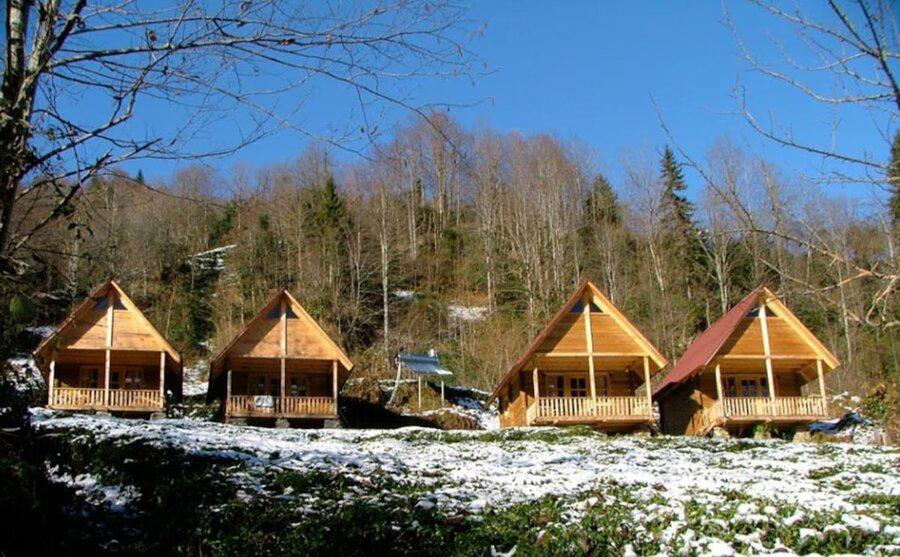 Ekodanitap Natural Life