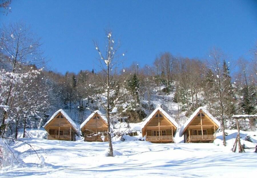 Ekodanitap Natural Life