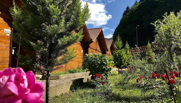 Tuva Villa's