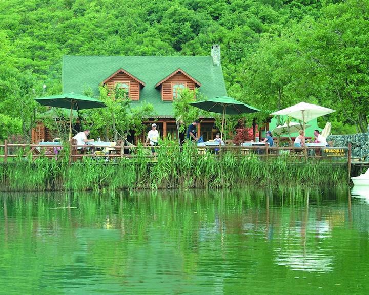 Tranquilla River Lodge- Adults Only