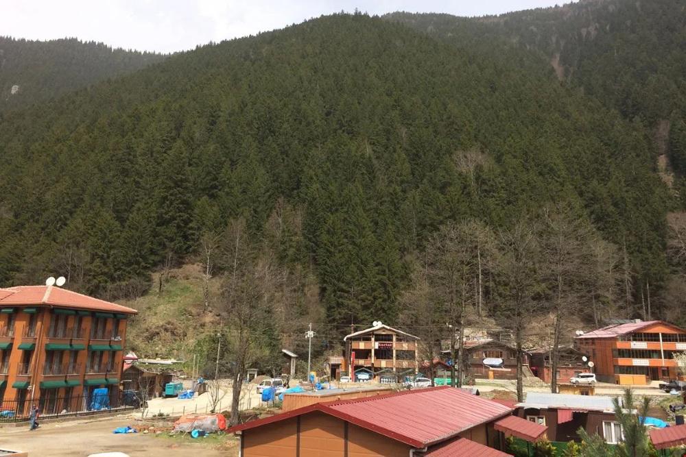 Elit Uzungol Hotel