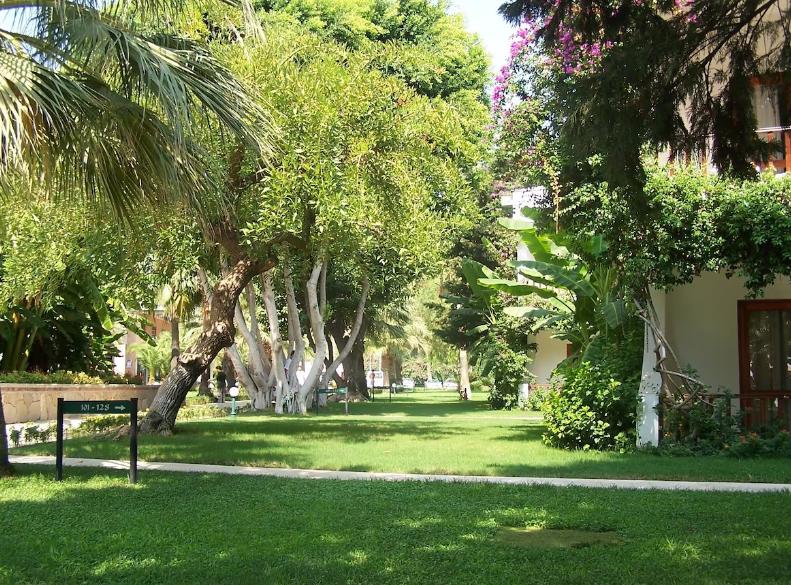 Club Boran Mare Beach