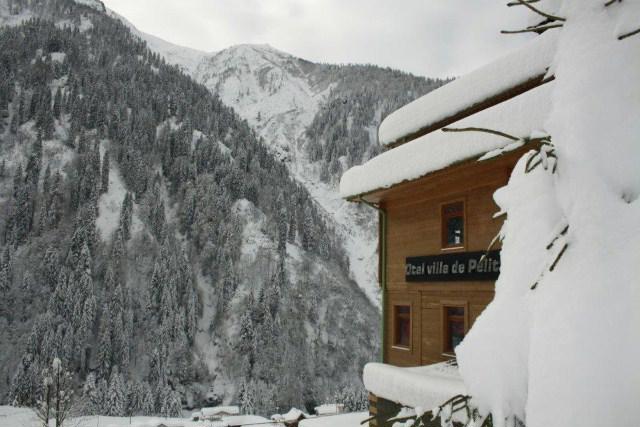 Villa de Pelit Hotel