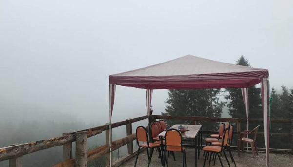 Çam Işığı Pansiyon