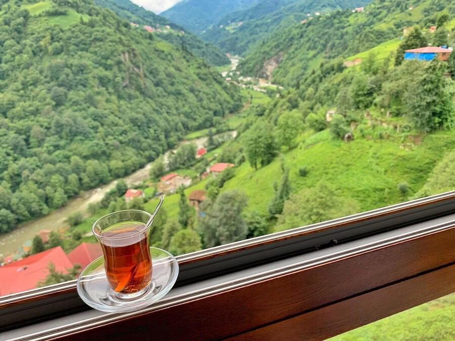 Saral Suit Otel