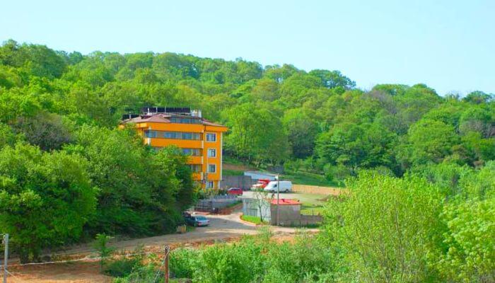 Koru Motel