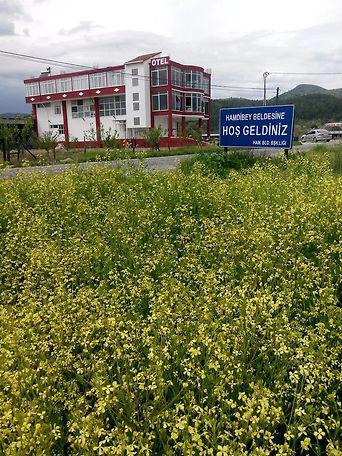 Özcanlar Otel
